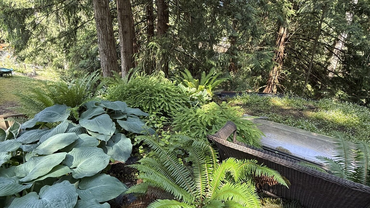 Photo of Outdoor in Shawnigan Lake