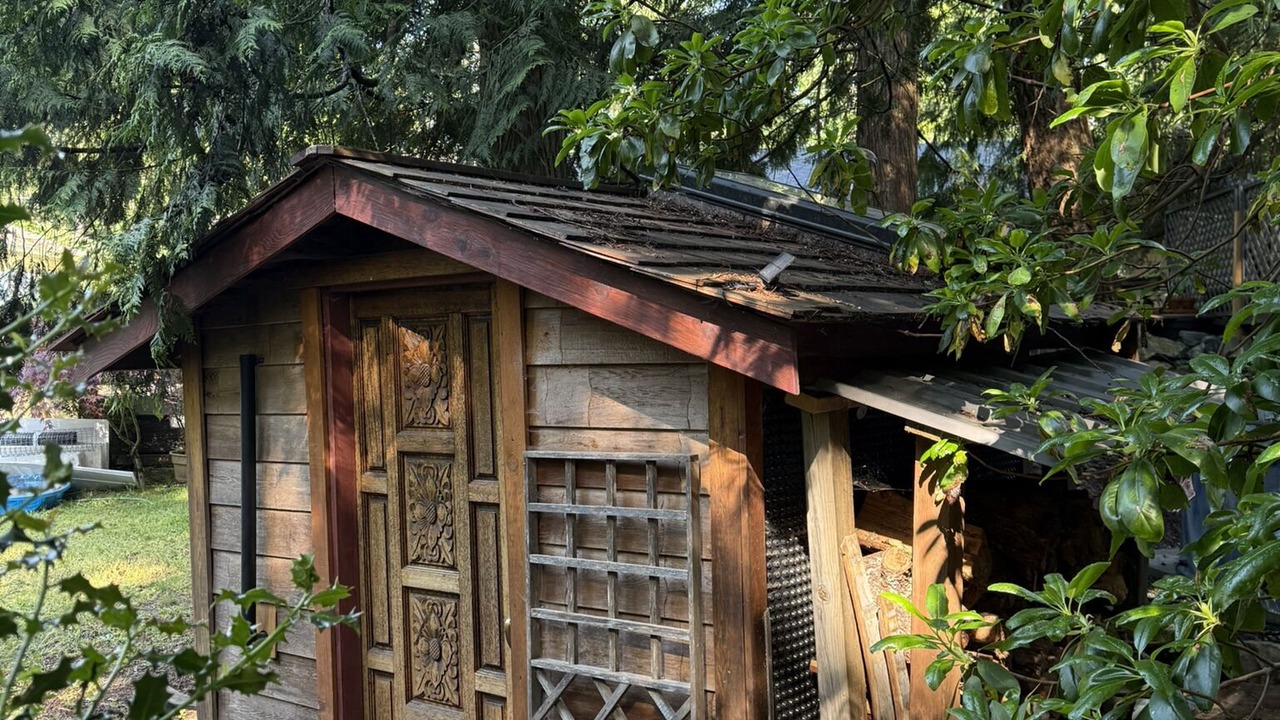 Photo of Outdoor in Shawnigan Lake
