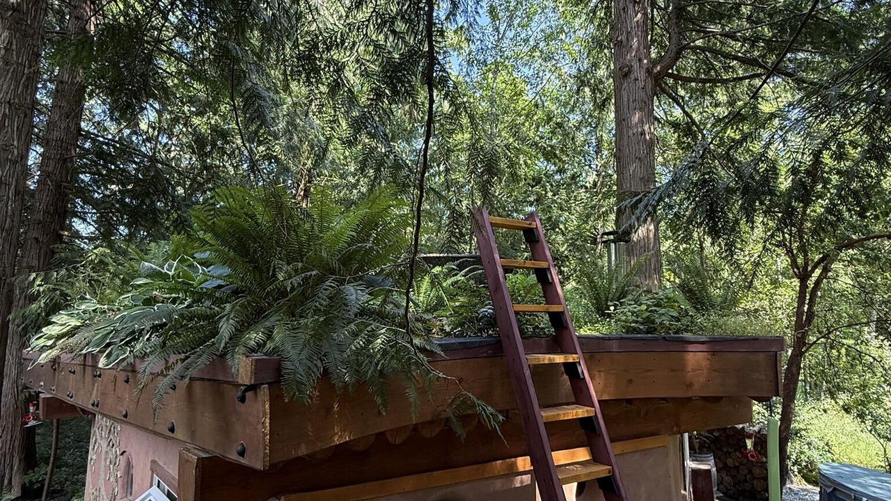 Photo of Outdoor in Shawnigan Lake