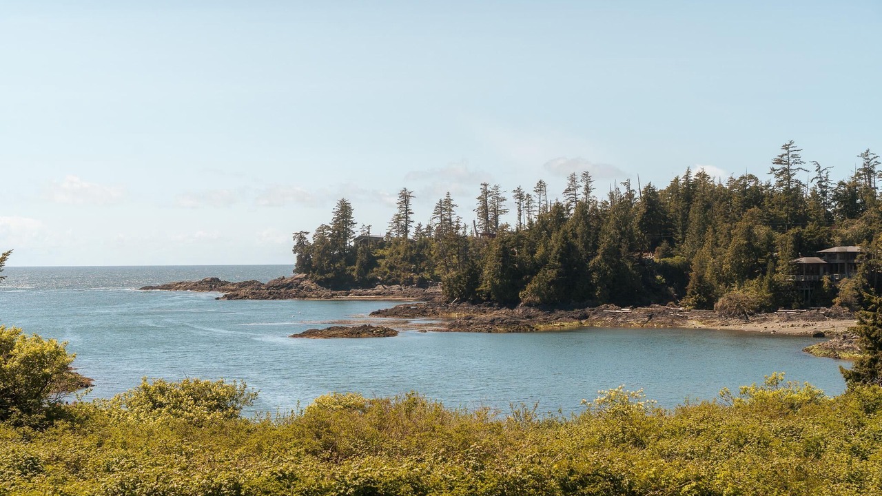 Photo of Others in Ucluelet