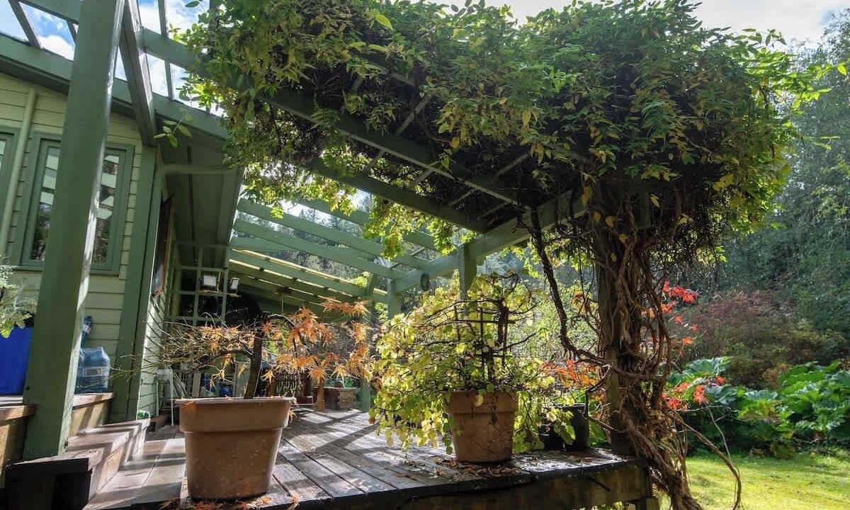 Photo of Outdoor in Madeira Park