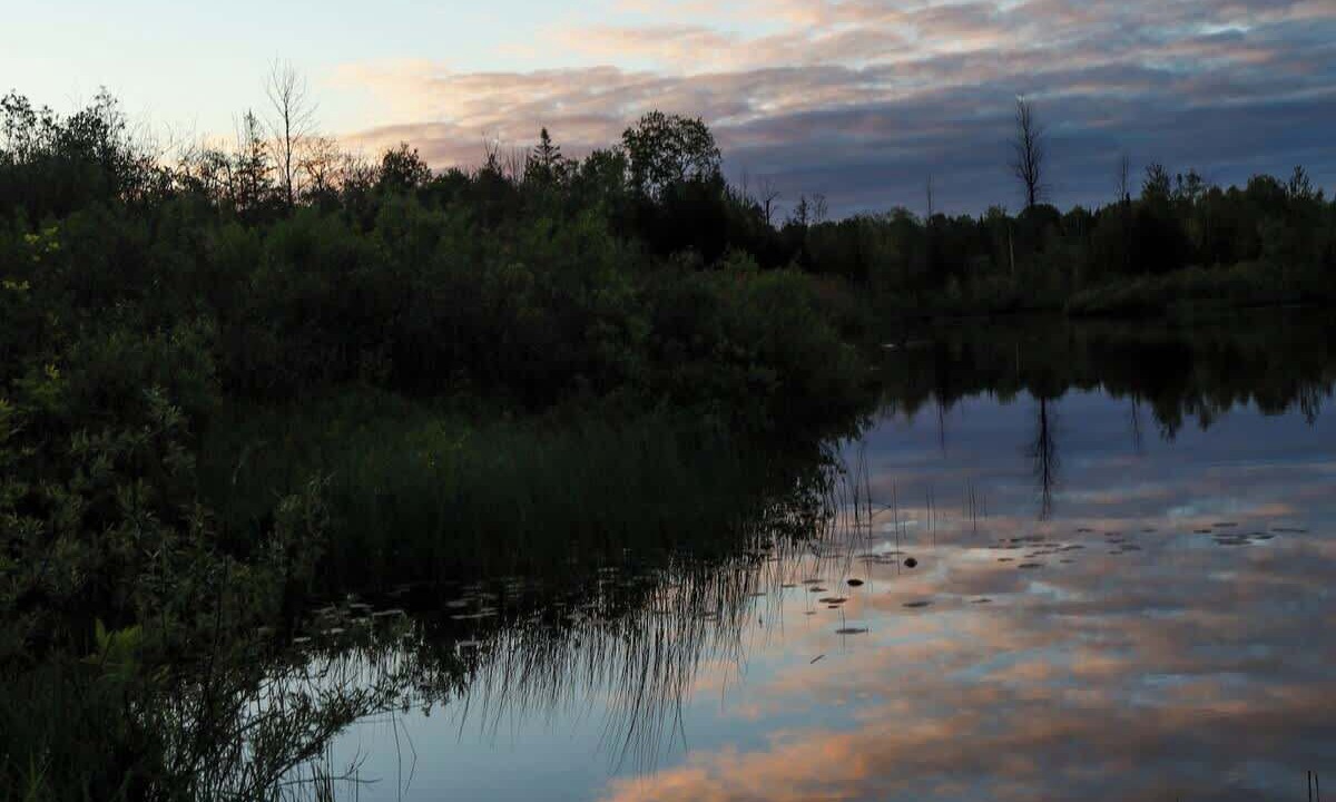 Photo of Others in Miller Lake