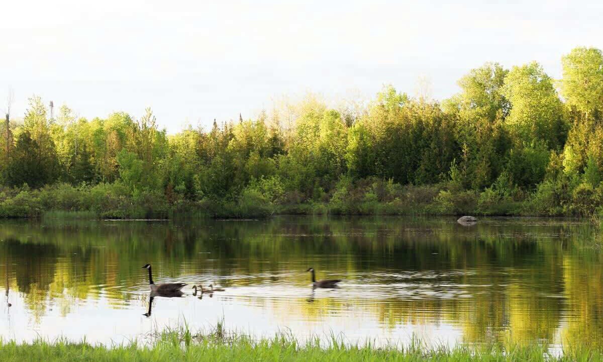 Photo of Others in Miller Lake