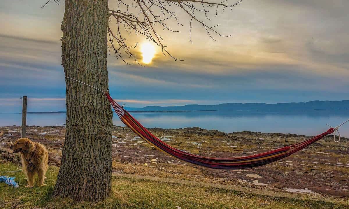 Photo of Others in Cap-Saint-Ignace