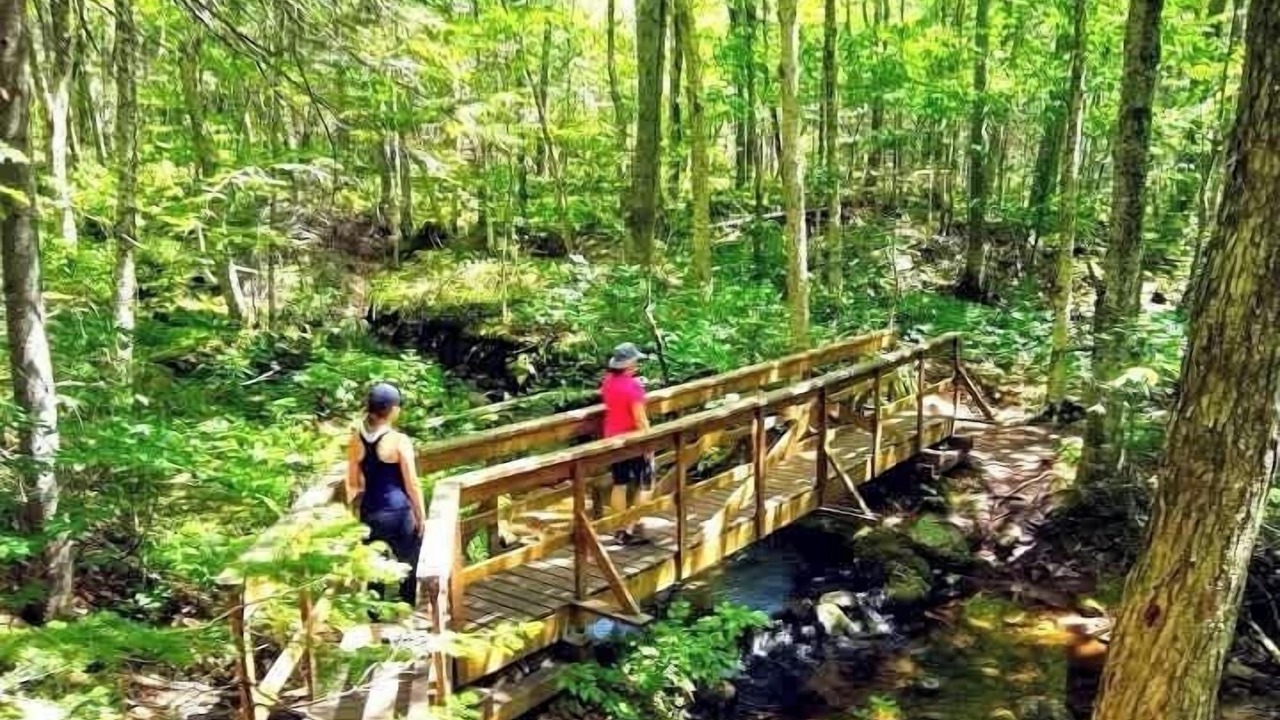 Photo of Others in Saint-Brigitte-de-Laval