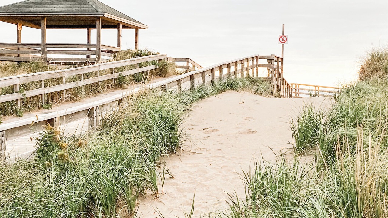 Photo of Others in Pointe-du-Chene