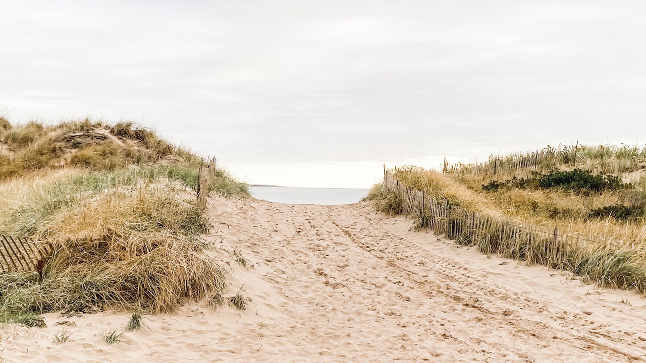Photo of Others in Pointe-du-Chene
