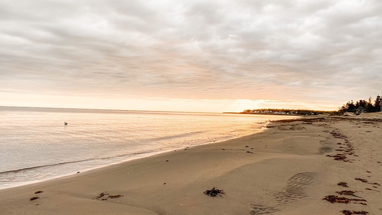 Photo of Others in Pointe-du-Chene