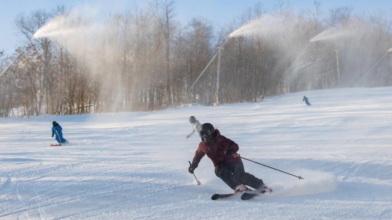 Photo of Others in Wasaga Beach