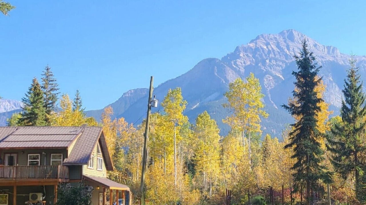 Photo of Outdoor in Blaeberry