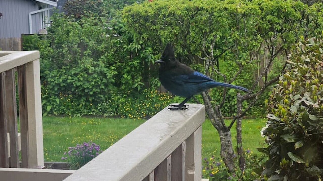 Photo of Outdoor in Bowen Island