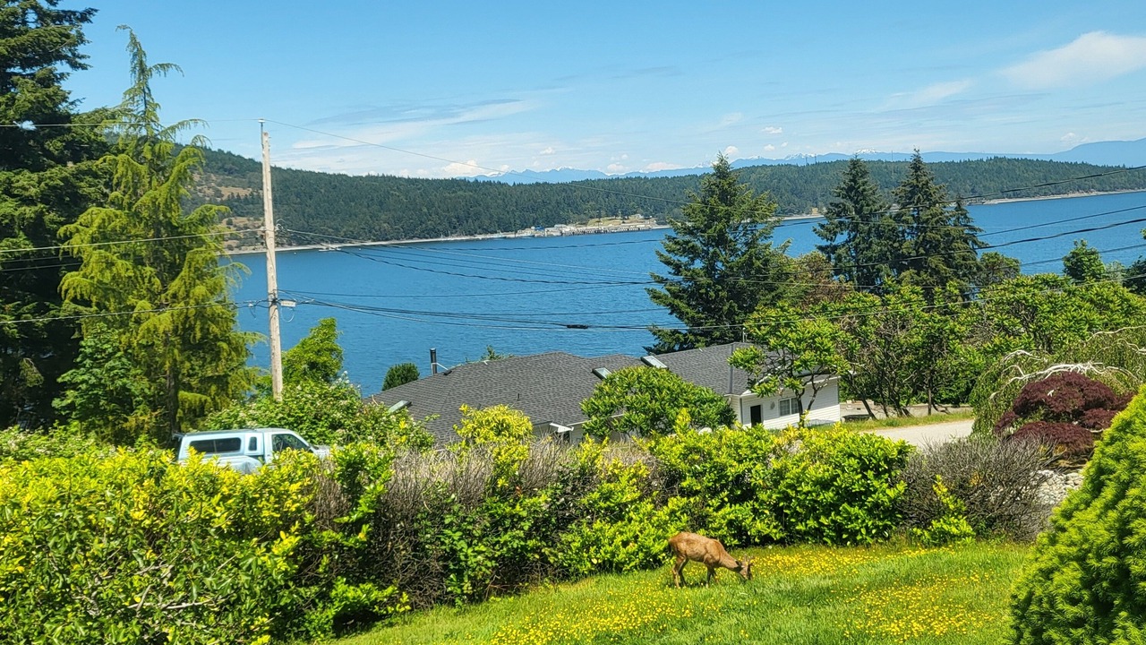 Photo of Others in Regional District of Nanaimo