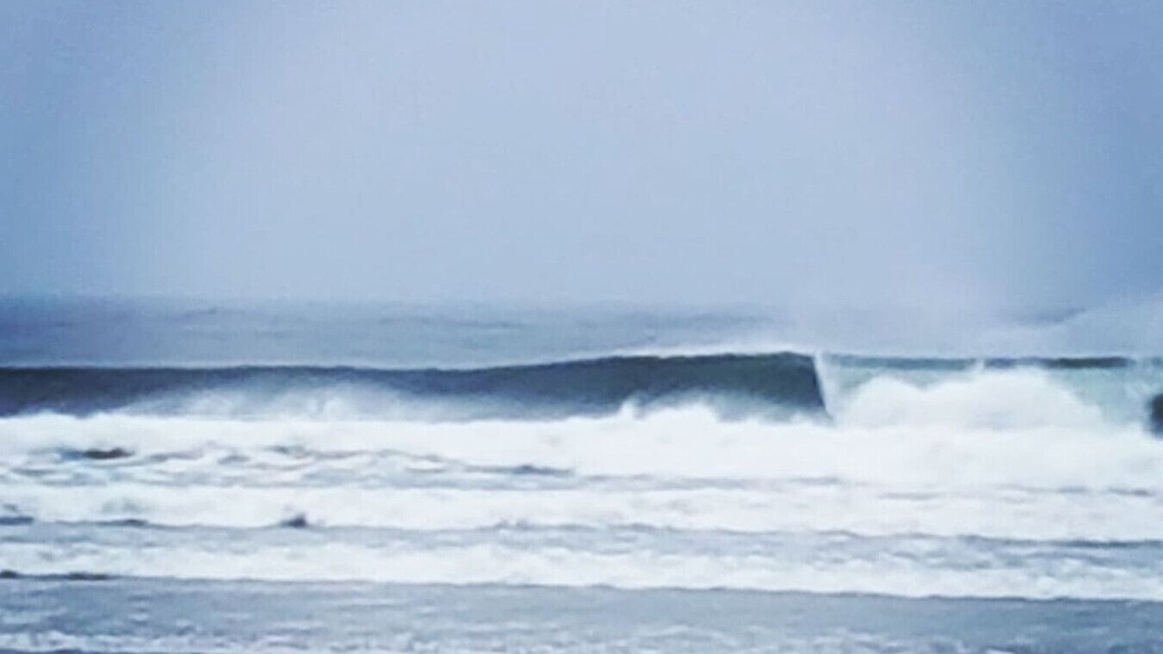 Photo of Others in Ucluelet