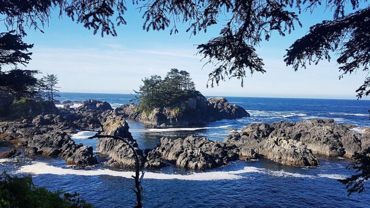 Photo of Others in Ucluelet
