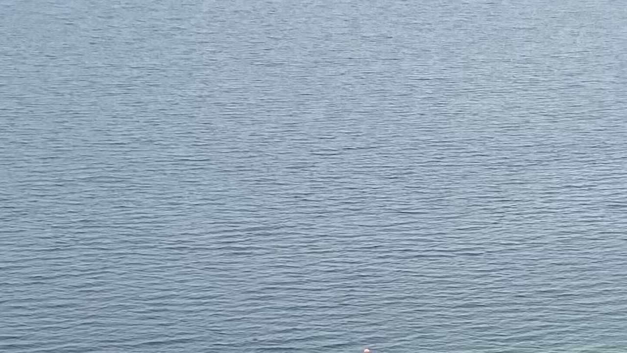 Photo of Others in Cape Breton Island