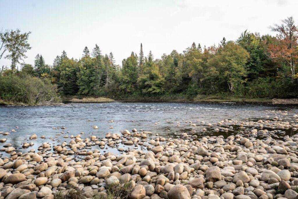 Photo of Others in Saint-Raymond