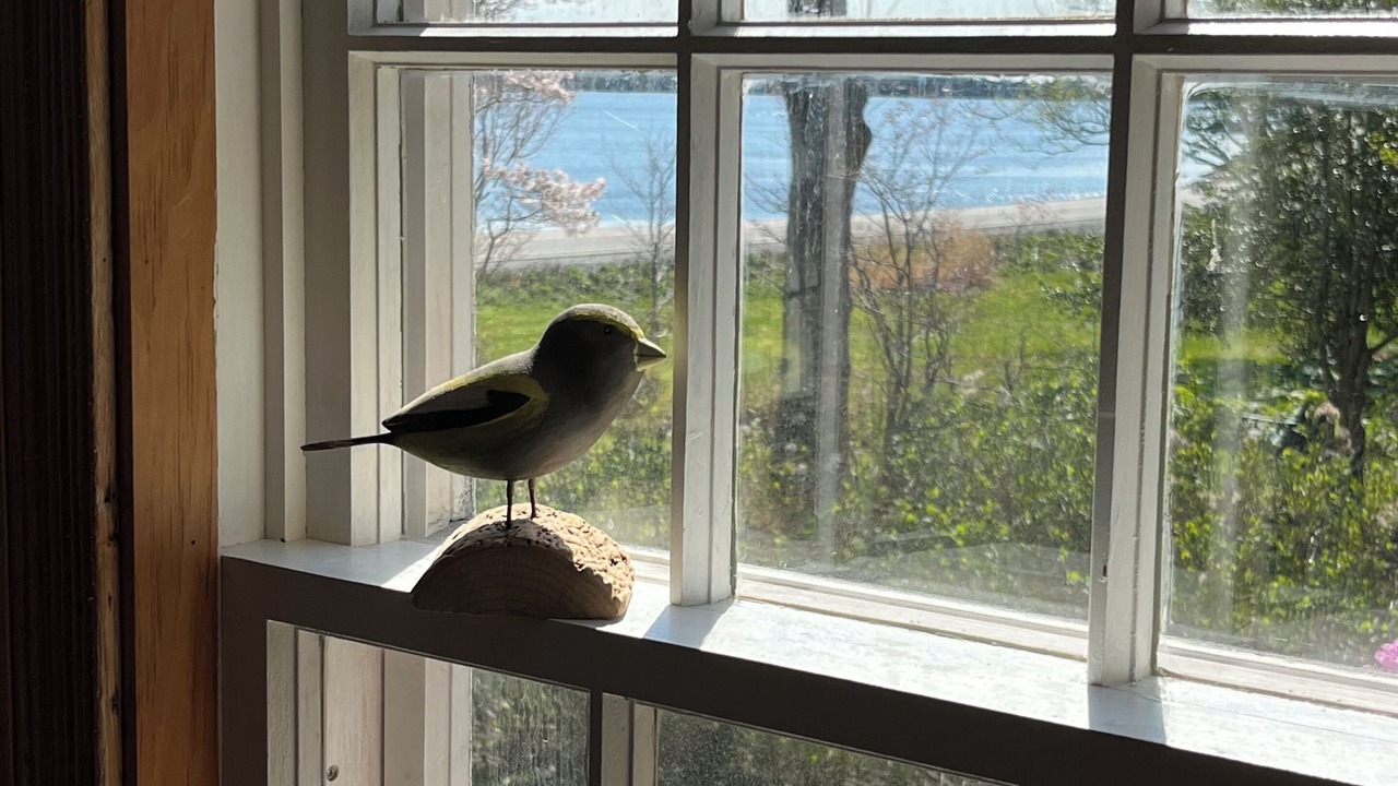 Photo of Others in Lunenburg County