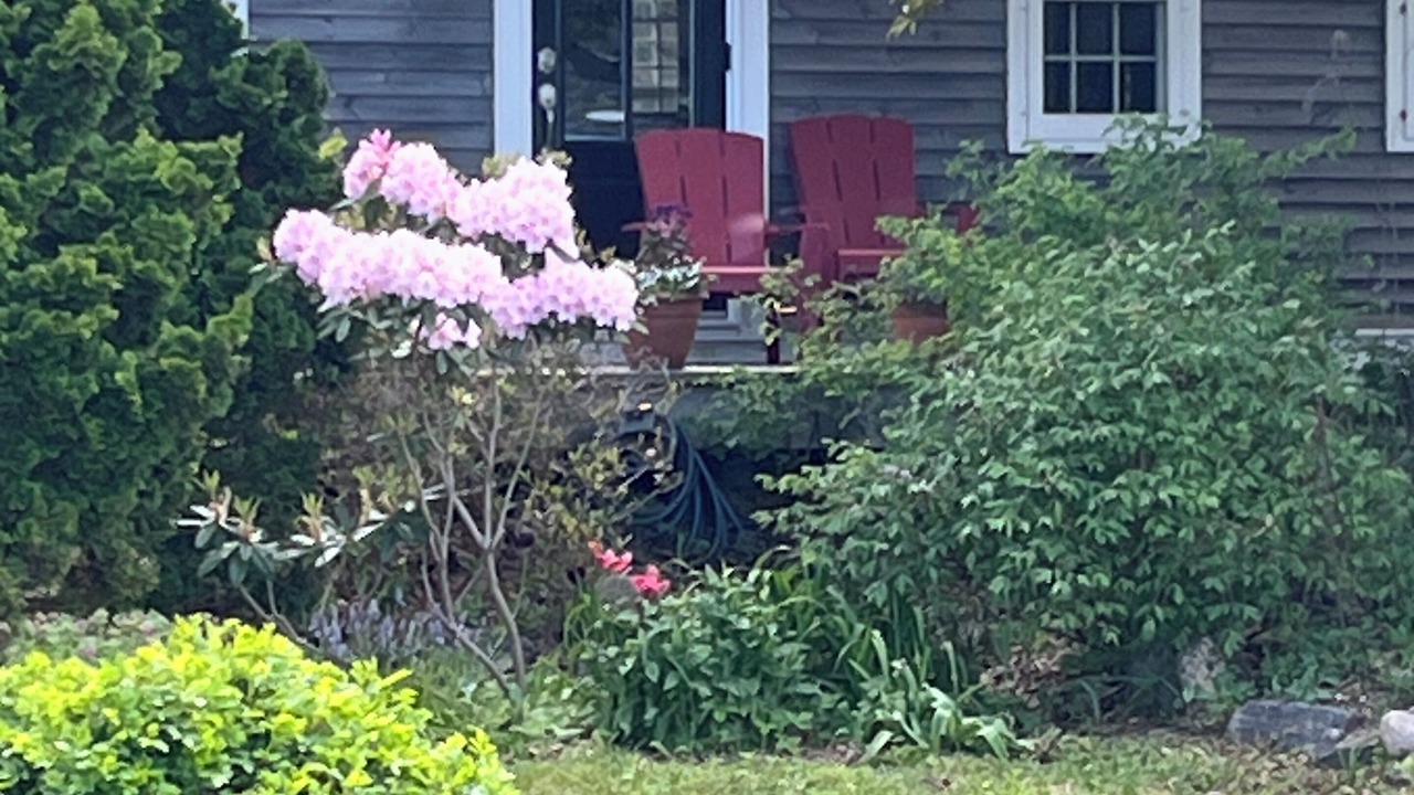 Photo of Outdoor in Lunenburg County