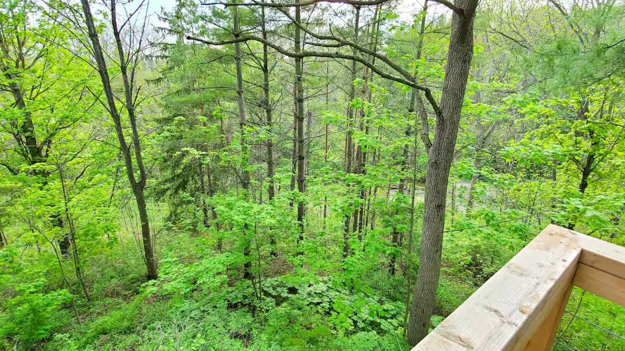Photo of Outdoor in Lincoln