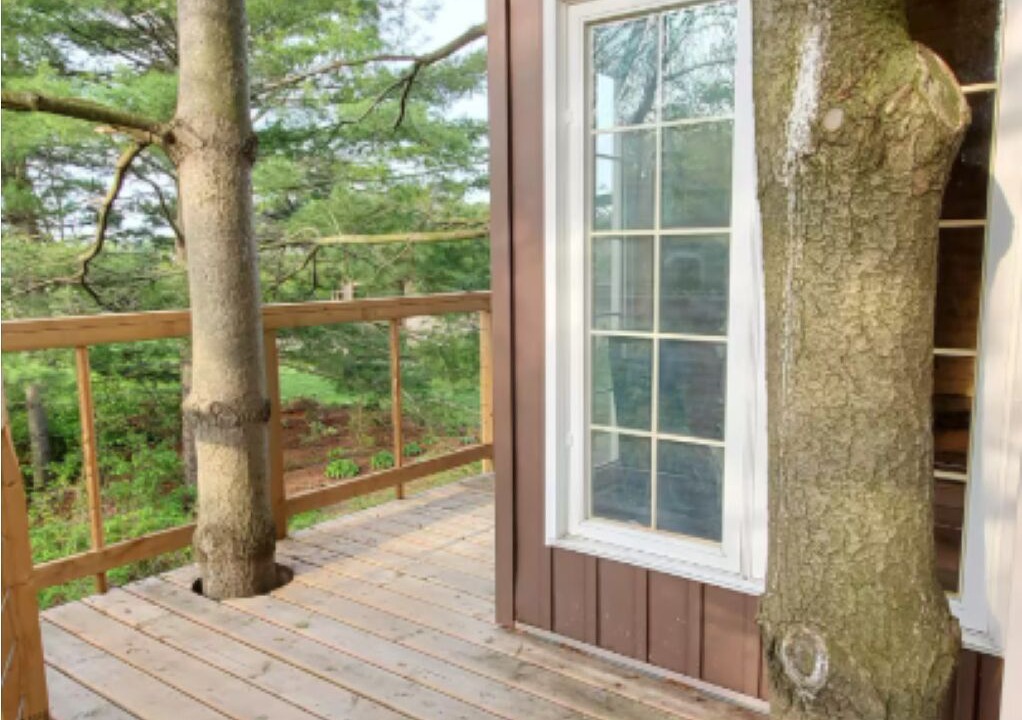 Photo of Patio Balcony in Lincoln