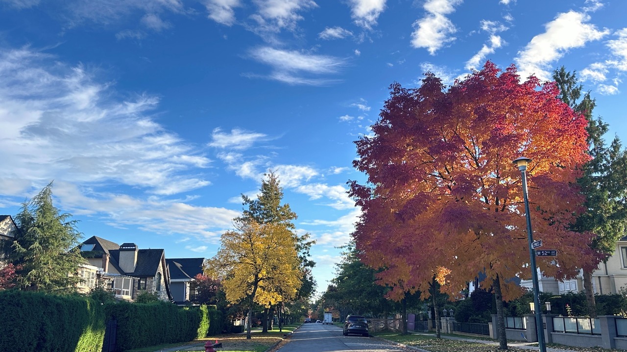 Photo of Others in Kerrisdale