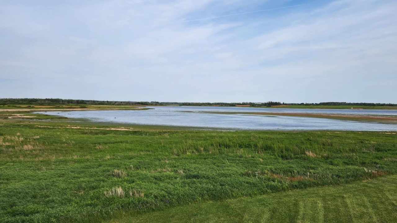 Photo of Others in Prince County