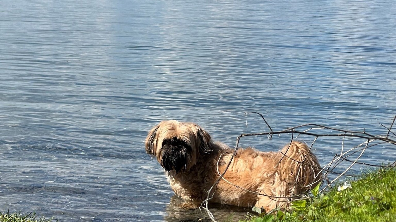 Photo of Others in South Glengarry