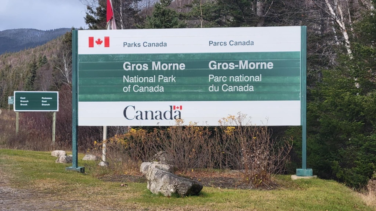 Photo of Others in Corner Brook