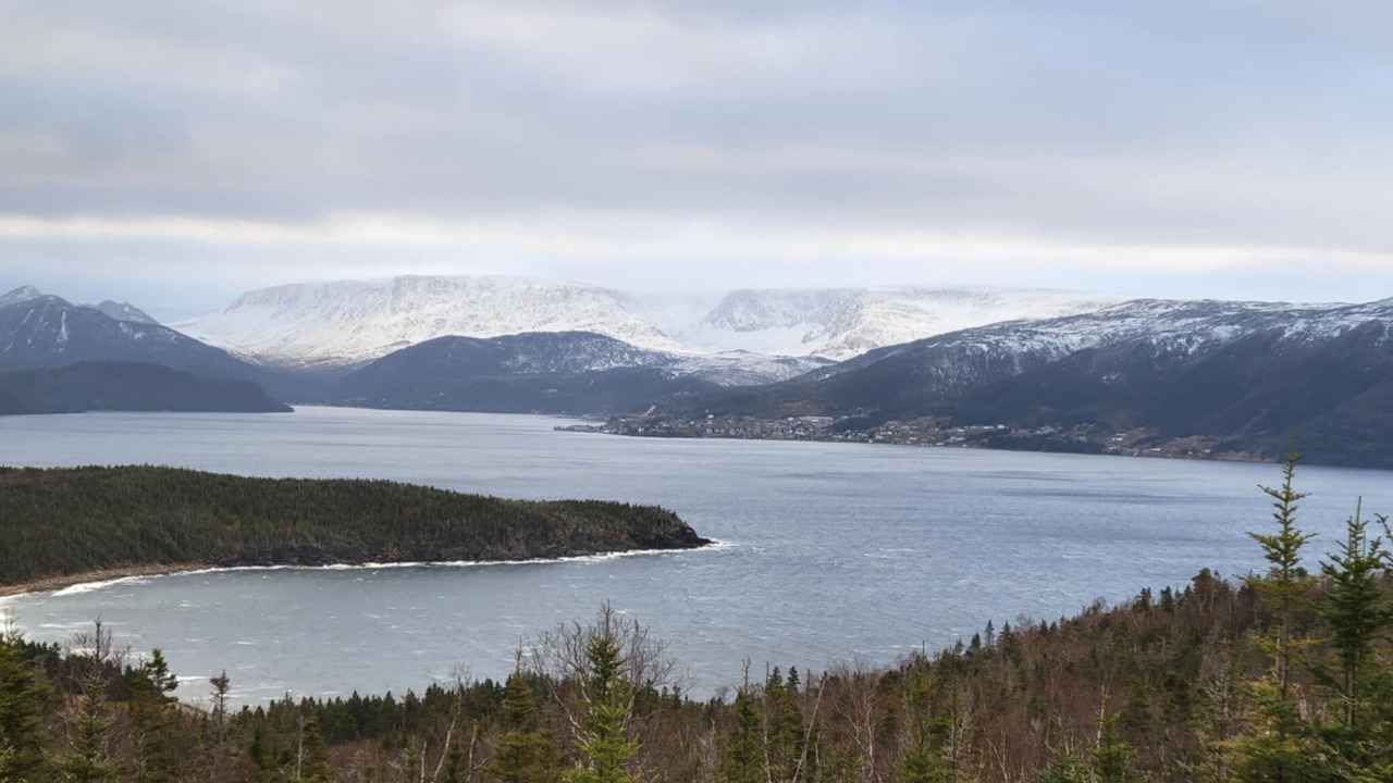 Photo of Others in Corner Brook