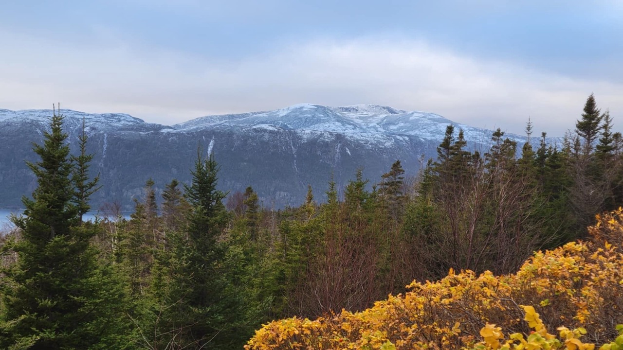 Photo of Others in Corner Brook