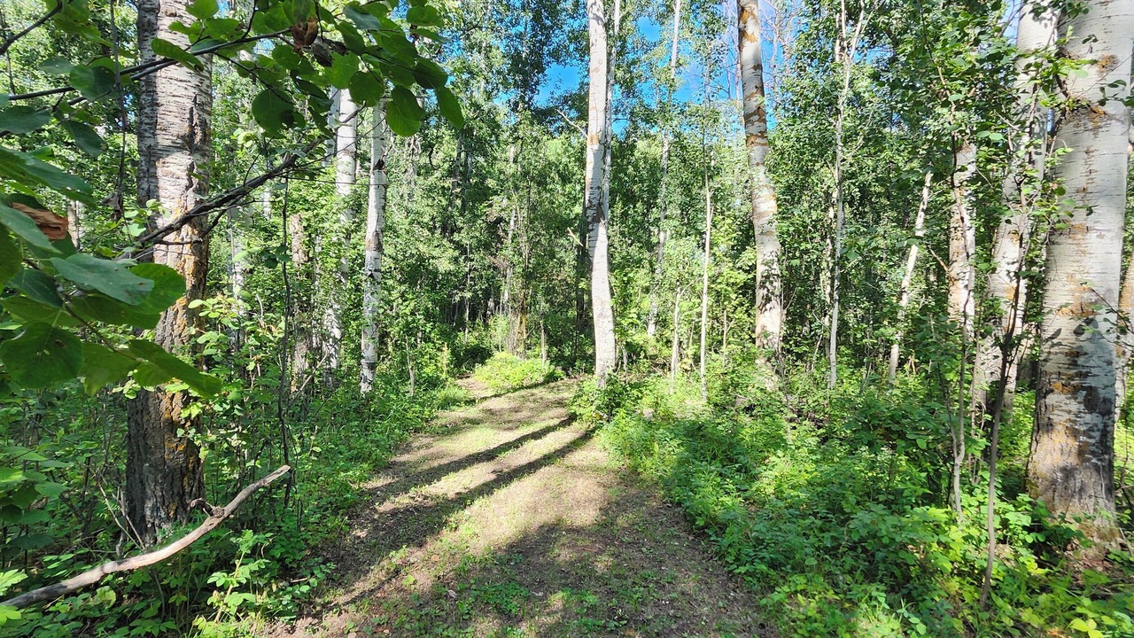 Photo of Others in Parkland County