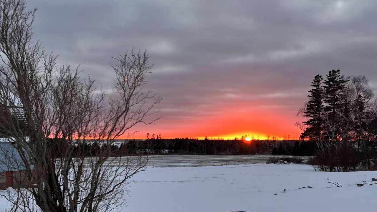 Photo of Others in Borden-Carleton