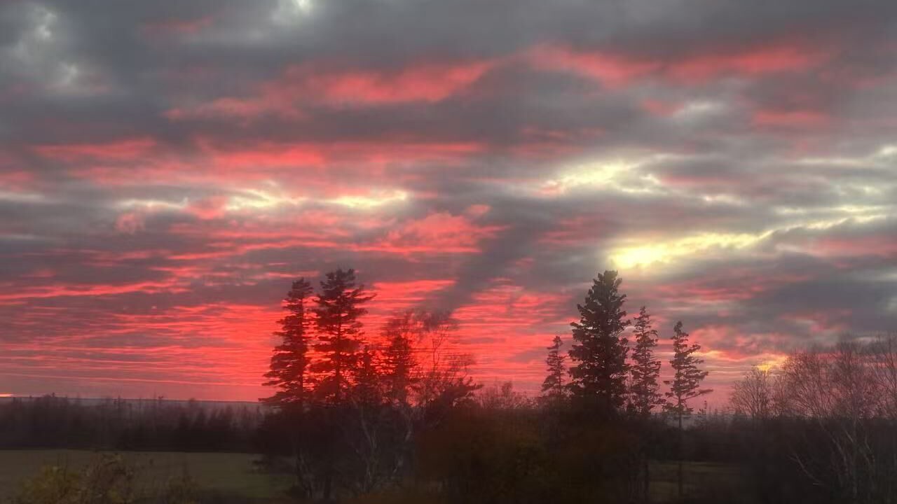 Photo of Others in Borden-Carleton