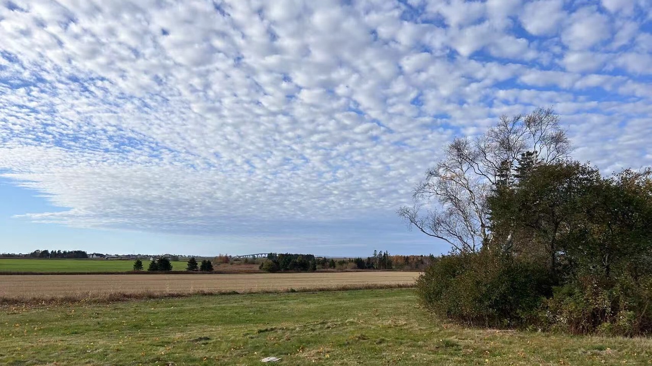 Photo of Others in Borden-Carleton