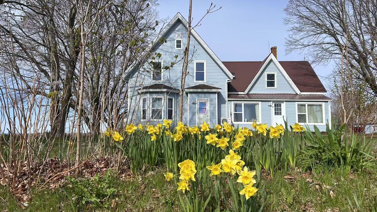 Photo of Outdoor in Borden-Carleton