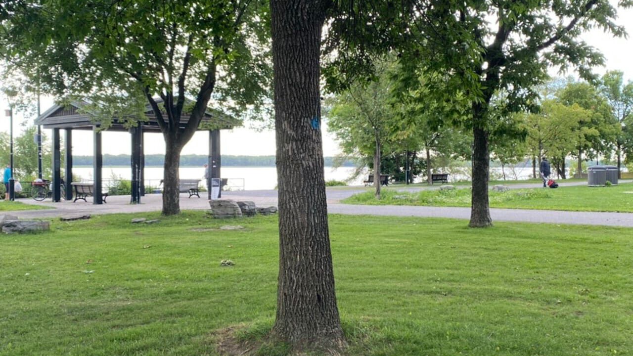 Photo of Outdoor in Bellerive