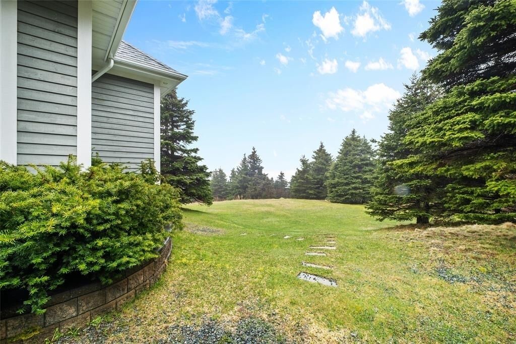 Photo of Outdoor in Flatrock