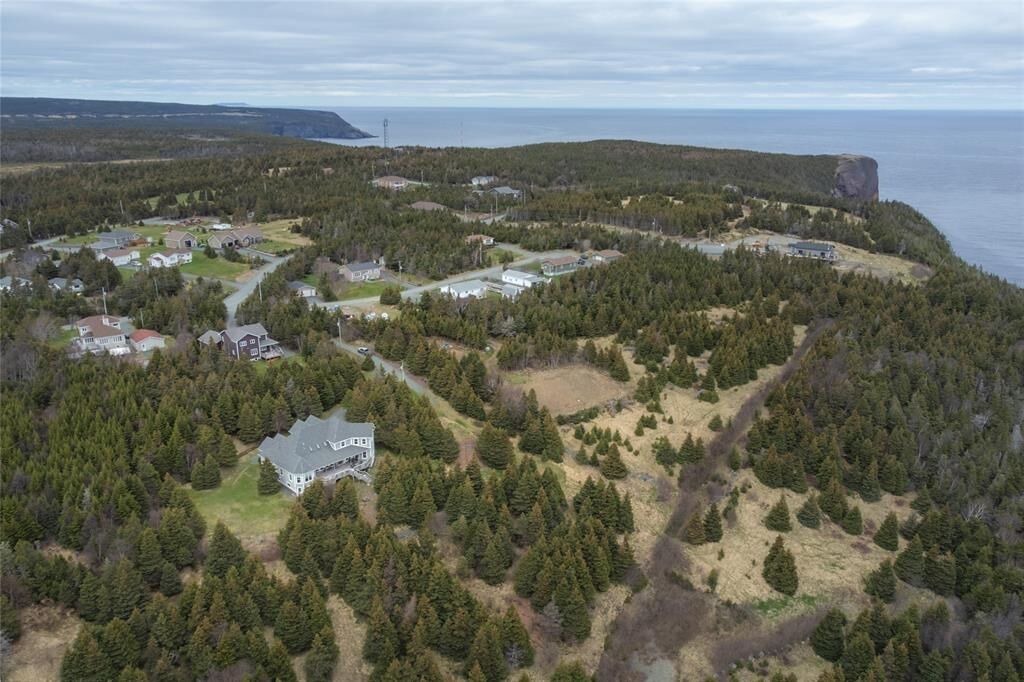 Photo of Outdoor in Flatrock