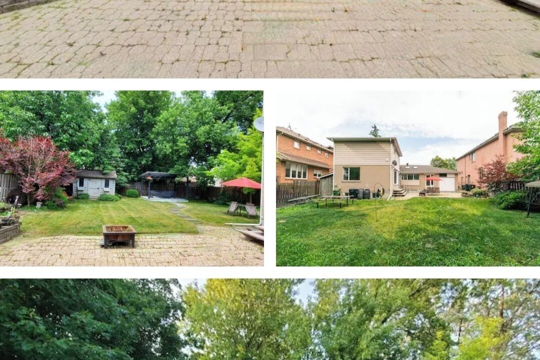 Photo of Outdoor in Willowdale