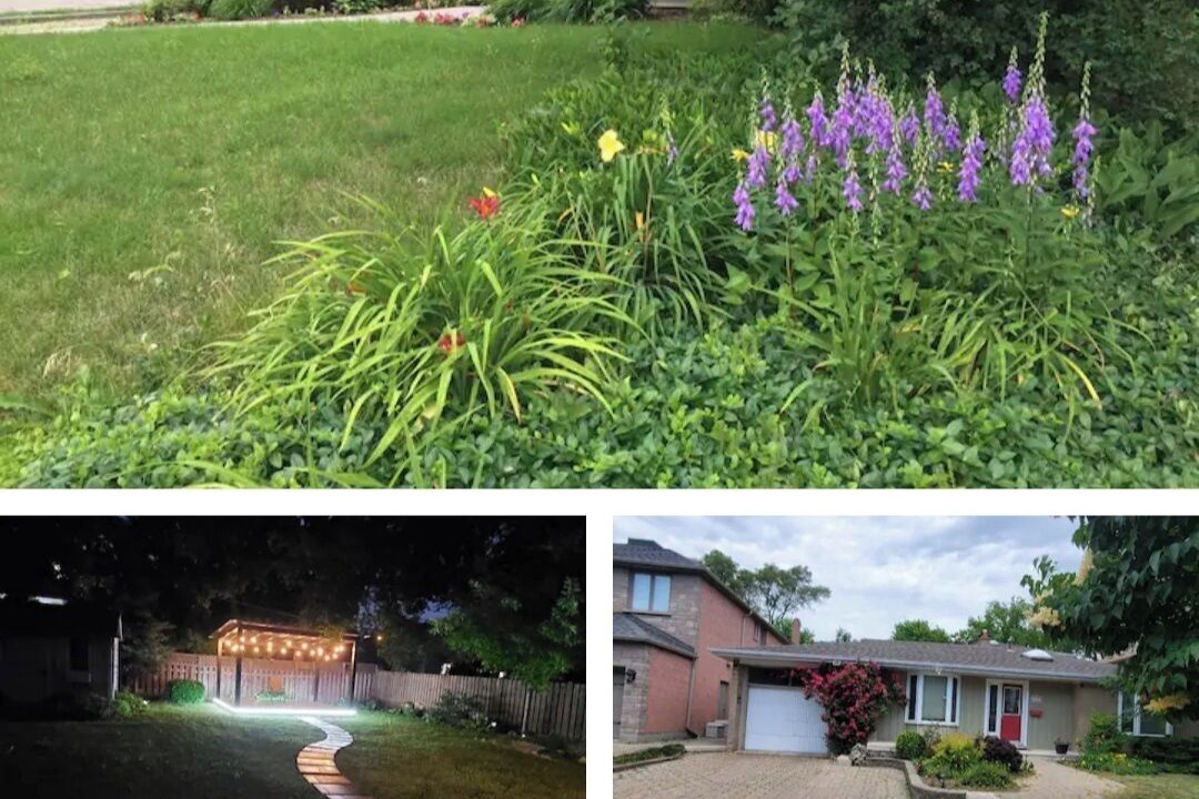Photo of Others in Willowdale