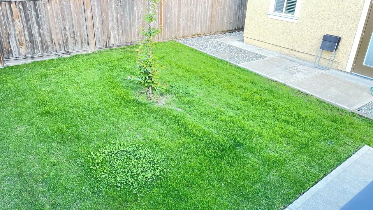 Photo of Outdoor in Arbutus Ridge