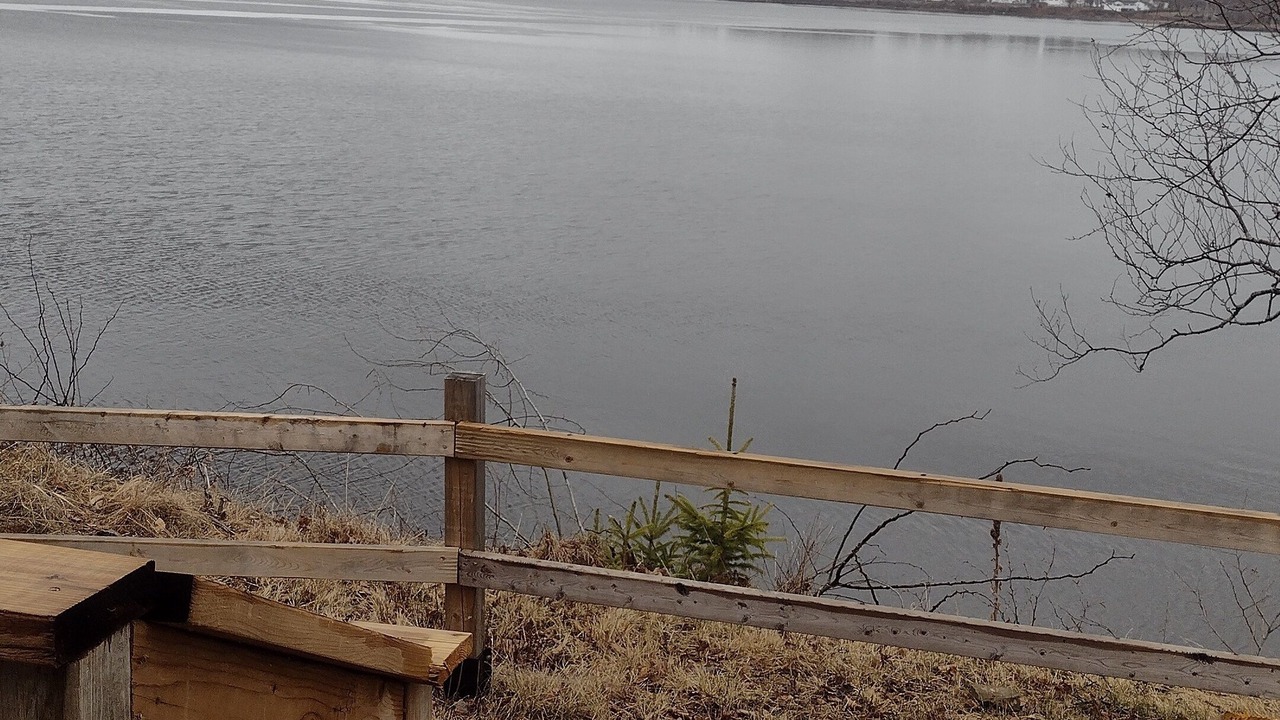 Photo of Outdoor in Russellville