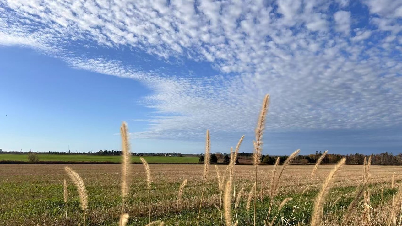 Photo of Others in Borden-Carleton