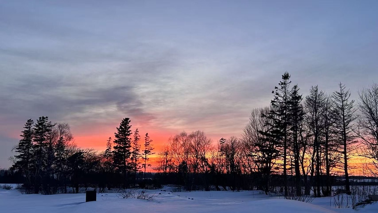 Photo of Others in Borden-Carleton