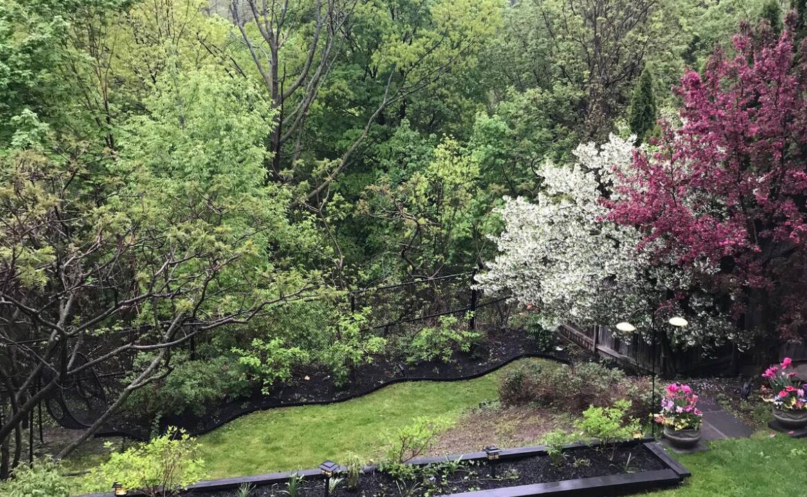 Photo of Outdoor in Governor's Bridge