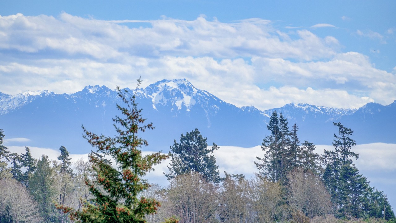 Photo of Others in Sooke