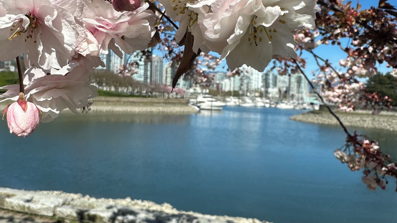 Photo of Others in Downtown Vancouver