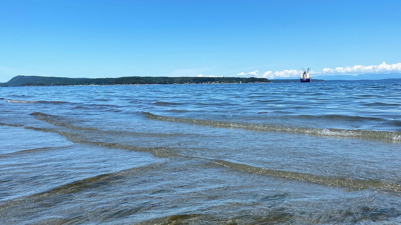 Photo of Others in Chemainus
