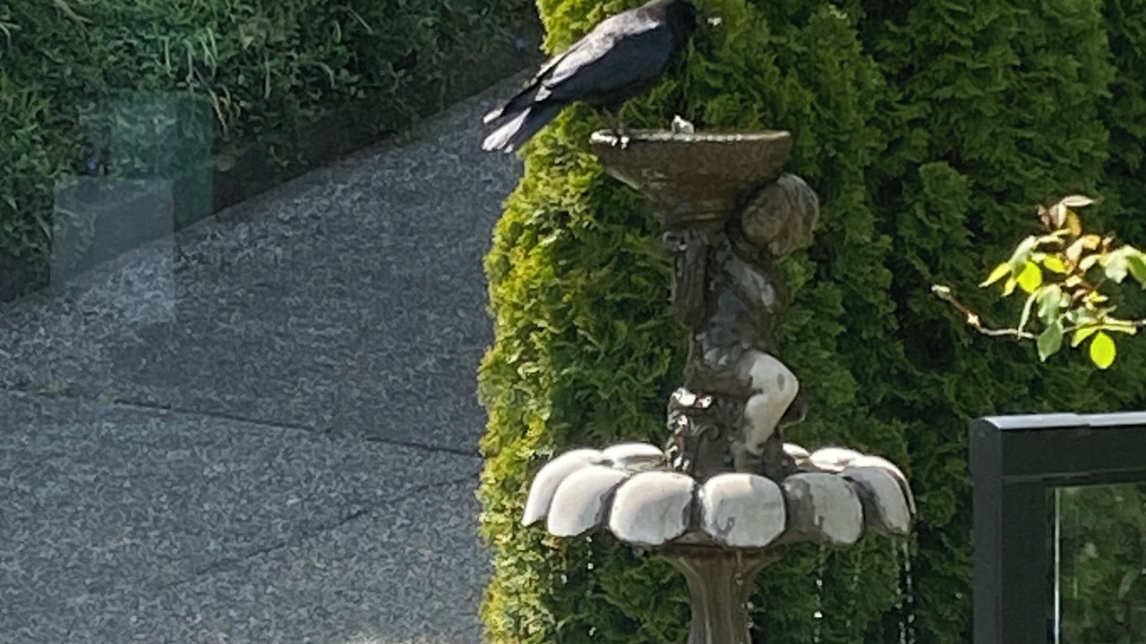 Photo of Others in Chemainus