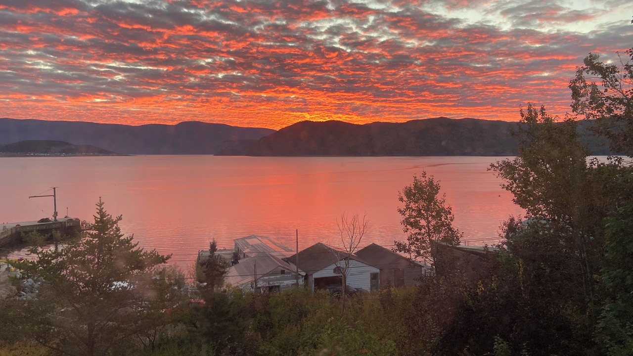 Photo of Others in Woody Point